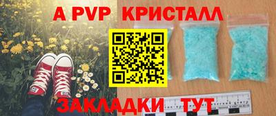 гашик Майкоп