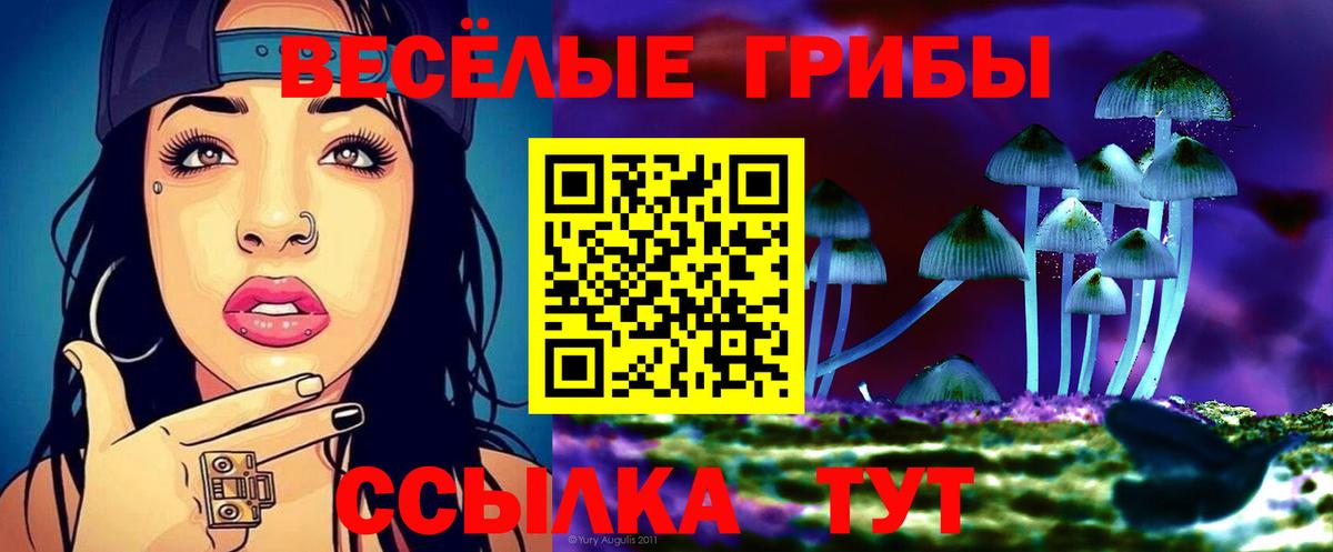 Когалым  Псилоцибиновые грибы Psilocybine cubensis  Галлюциногенные грибы Psilocybine cubensis  наркошоп  Вход с VPN 